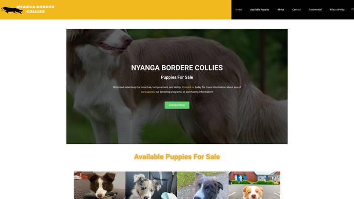 Nyagabordercollies.com - Bordercollie Puppy Scam Review