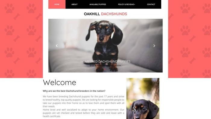 Oakhilldachshunds.com - Dachshund Puppy Scam Review