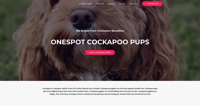 Onespotcockapoopups.com - Cockapoo Puppy Scam Review