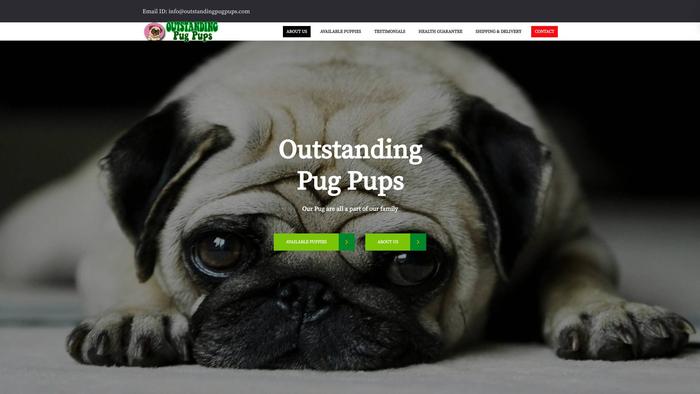 Outstandingpugpups.com - Pug Puppy Scam Review