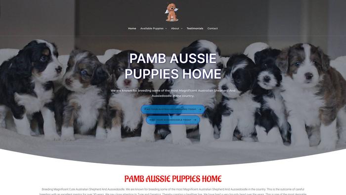 Pambaussiepupshome.com - Australian Shepherd Puppy Scam Review