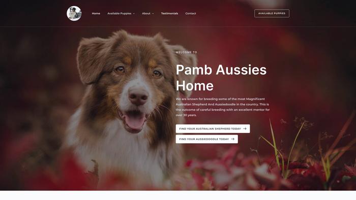 Pambaussieshome.com - Australian Shepherd Puppy Scam Review