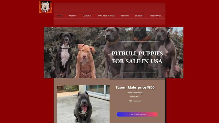 Pantherpitbullforsale.com - Pit Bull Puppy Scam Review