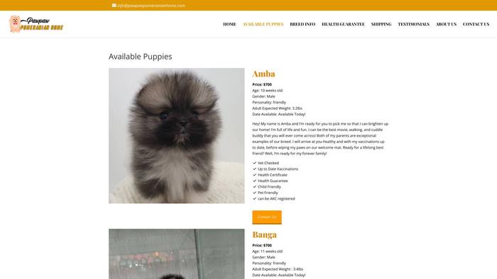 Pawpawpomeranianhome.com - Pomeranian Puppy Scam Review