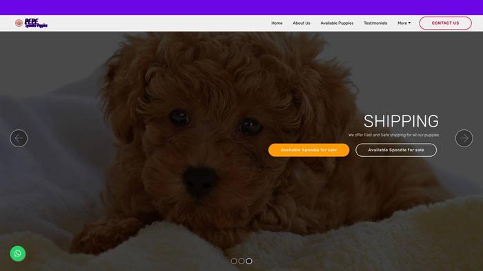 Pepespoodlepuppies.com - Poodle Puppy Scam Review