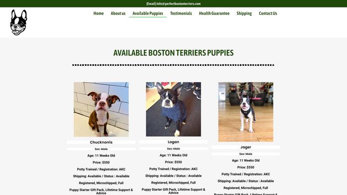 Perfectbostonterriers.com - Terrier Puppy Scam Review