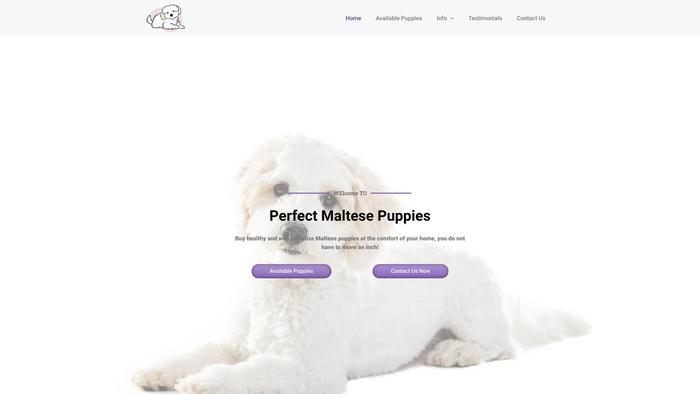 Perfectmaltesepuppies.com - Maltese Puppy Scam Review