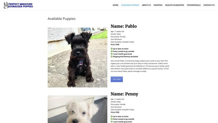 Perfectminiatureschnauzerpuppies.com - Schnauzer Puppy Scam Review