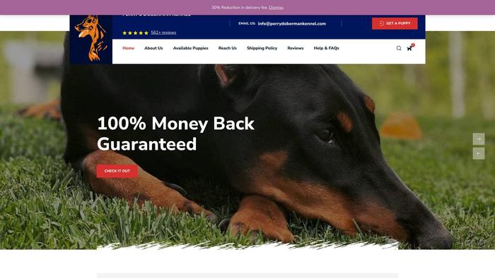 Perrydobermankennel.com - Doberman Pinscher Puppy Scam Review