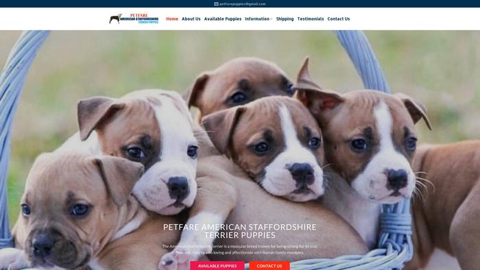 Petfareamericanstaffypuppies.com - Terrier Puppy Scam Review