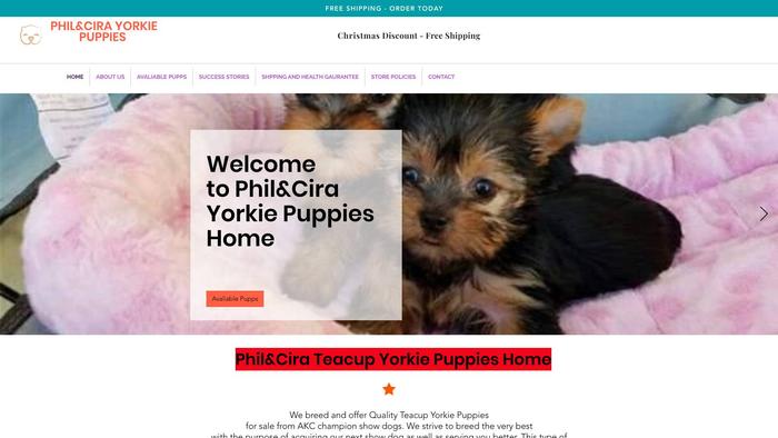 Philcirayorkiepupps.com - Yorkshire Terrier Puppy Scam Review