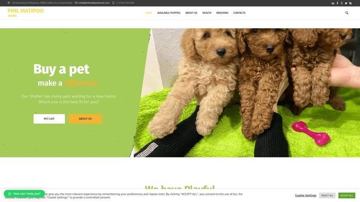 Philmaltipoohome.com - Maltipoo Puppy Scam Review