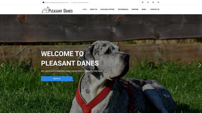 Pleasantdaneshome.com - Great Dane Puppy Scam Review