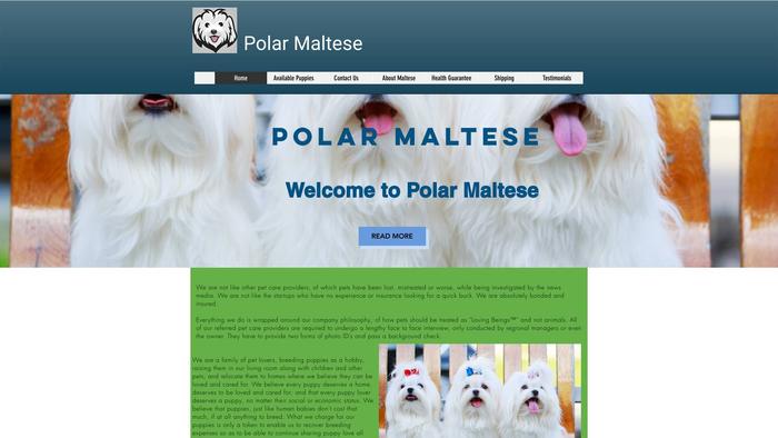 Polarmaltese.com - Maltese Puppy Scam Review