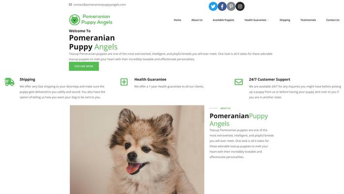 Pomeranianpuppyangels.com - Pomeranian Puppy Scam Review