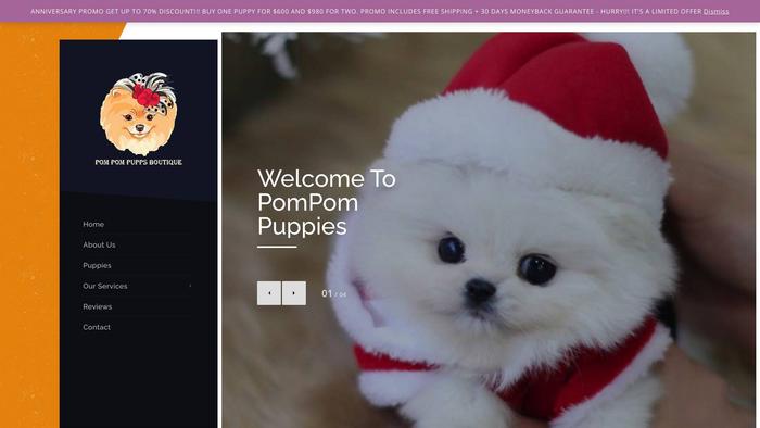 Pompompuppsboutique.net - Pomeranian Puppy Scam Review