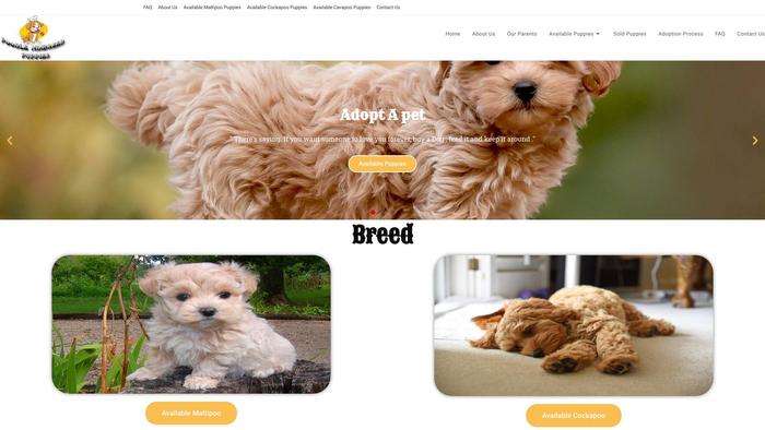 Poodlemixbreedpuppies.com - Poodle Puppy Scam Review