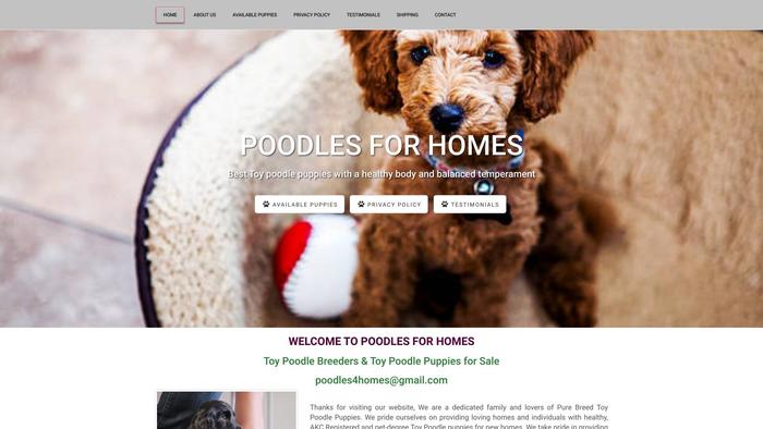 Poodles4homes.com - Poodle Puppy Scam Review