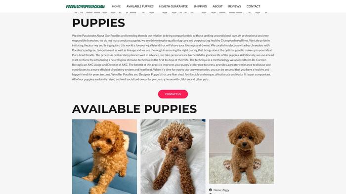 Poodletoypuppiesforsale.com - Poodle Puppy Scam Review