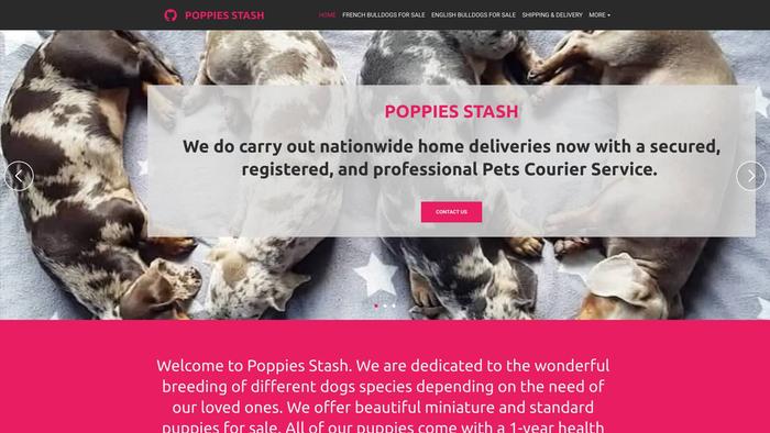 Poppiesstash.dog - French Bulldog Puppy Scam Review