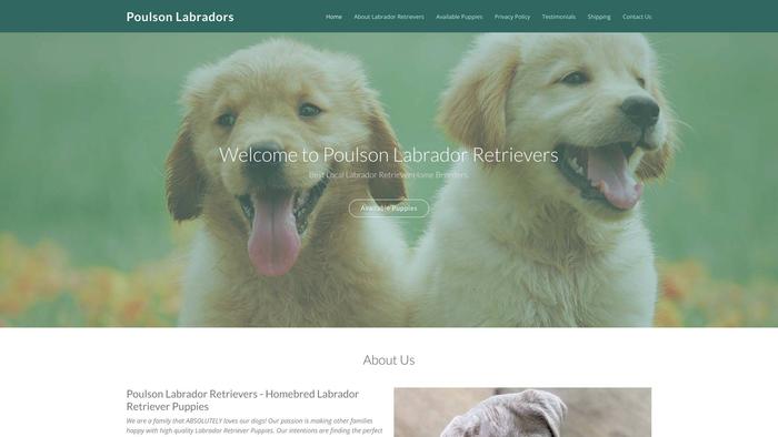 Poulsonlabradorretrievers.com - Golden Retriever Puppy Scam Review