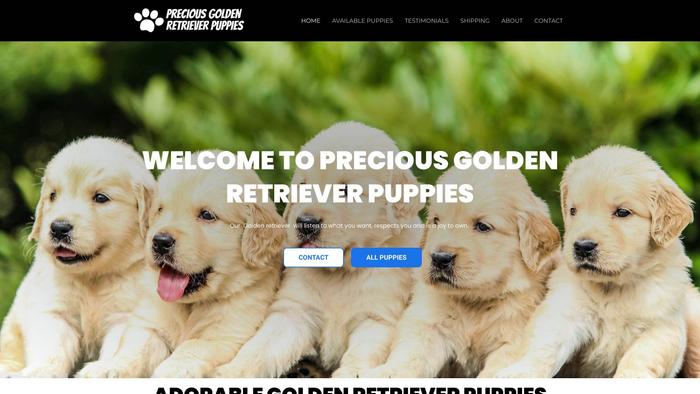 Preciousgoldenretrieverpuppies.com - Golden Retriever Puppy Scam Review