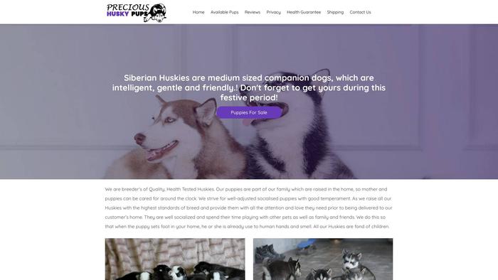 Precioushuskypups.com - Husky Puppy Scam Review