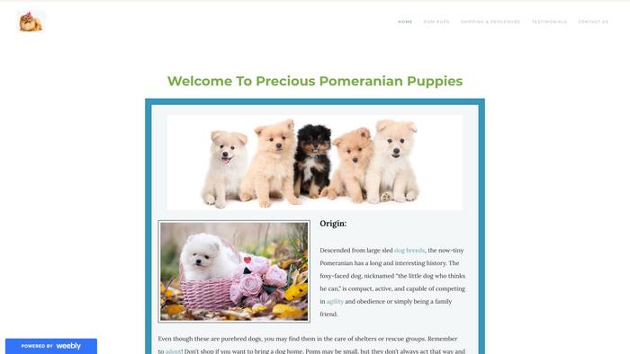 Preciouspomeranianpups.com - Pomeranian Puppy Scam Review