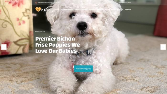 Premierbichonfrisepuppies.com - Bichon Frise Puppy Scam Review