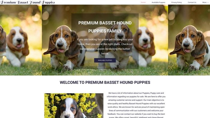 Premiumbassethounds.com - Bassethound Puppy Scam Review