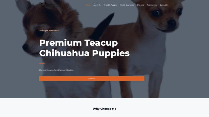 Premiumteacupschihuahuapuppies.com - Chihuahua Puppy Scam Review