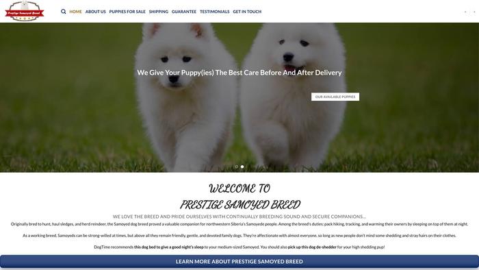 Prestigesamoyedbreed.com - Samoyed Puppy Scam Review
