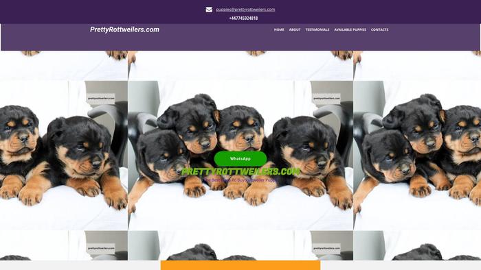 Prettyrottweilers.com - Rottweiler Puppy Scam Review