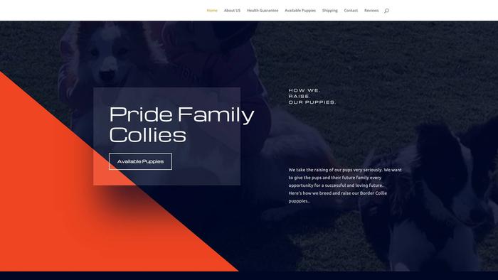 Pridefamilycollies.com - Bordercollie Puppy Scam Review