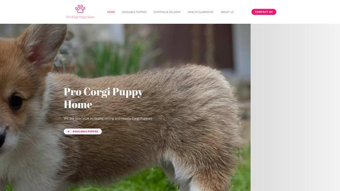 Procorgipuppyhome.com - Corgi Puppy Scam Review