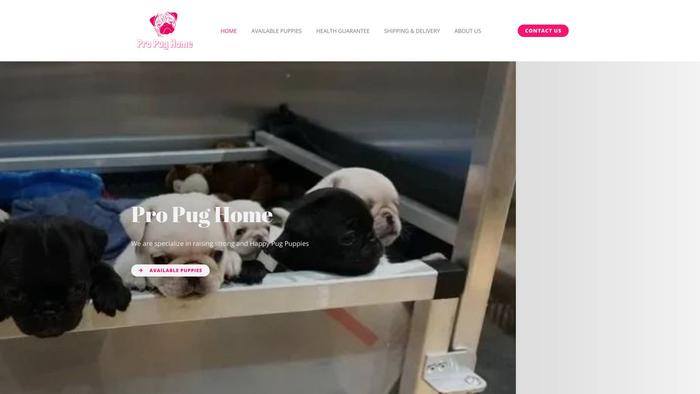 Propughome.com - Pug Puppy Scam Review