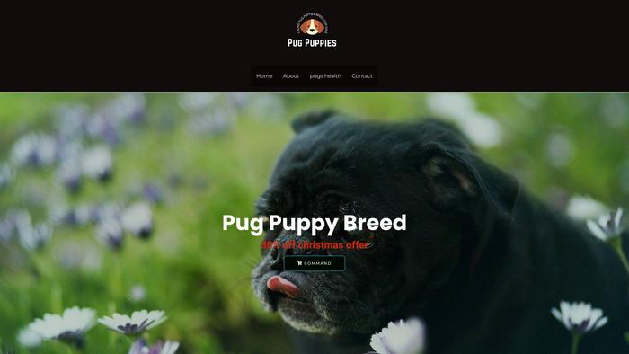 Pugpuppiesbreedforsale.com - Pug Puppy Scam Review