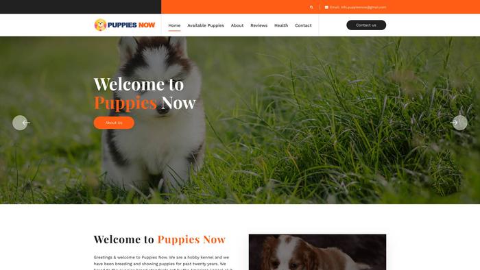 Puppies-now.com - Bichon Frise Puppy Scam Review