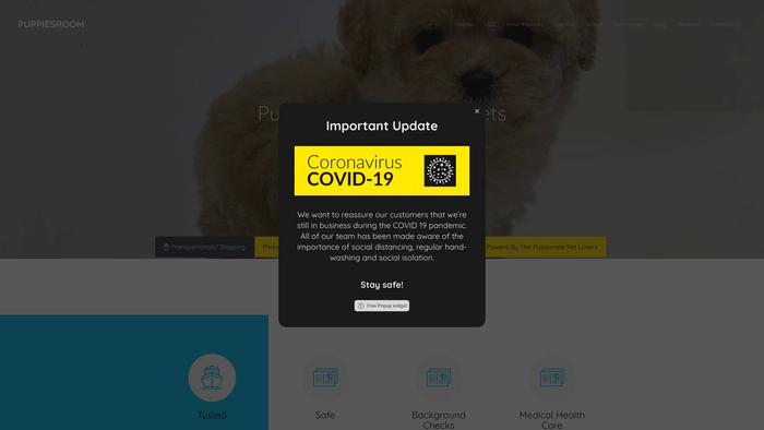 Puppiesroom.com - Maltipoo Puppy Scam Review