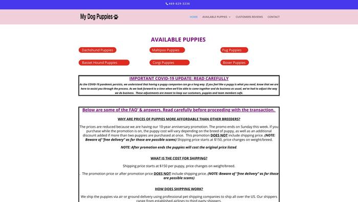 Puppiesz.com - French Bulldog Puppy Scam Review