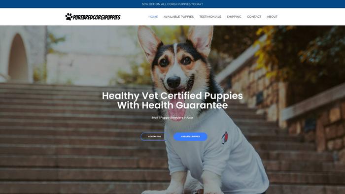 Purebredcorgipuppies.com - Corgi Puppy Scam Review