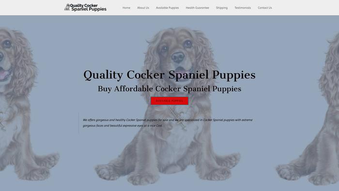 Qualitycockerspanielpuppies.com - Cockerspaniel Puppy Scam Review