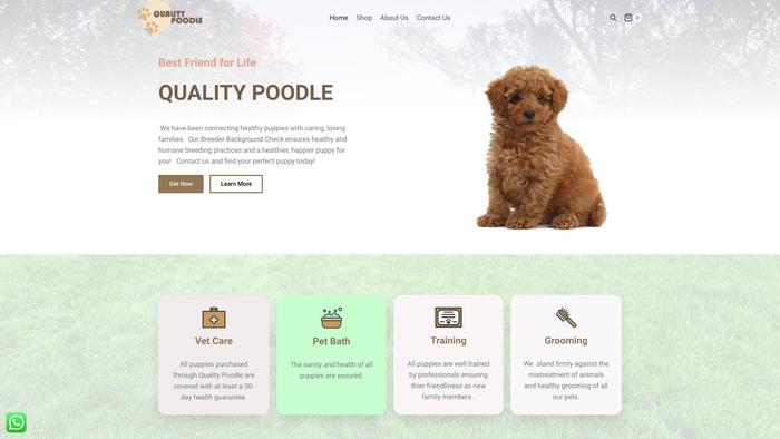 Qualitypoodle.com - Poodle Puppy Scam Review