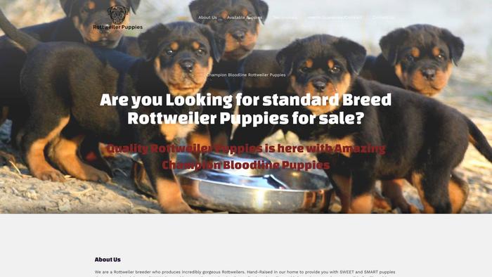 Qualityrottweilerpuppies.com - Rottweiler Puppy Scam Review