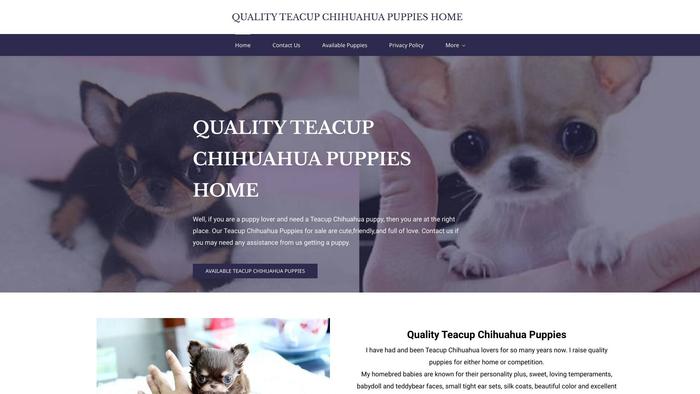 Qualityteacupchihuahuapuppies.com - Chihuahua Puppy Scam Review