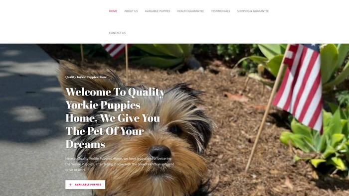 Qualityyorkiepuppieshome.com - Yorkshire Terrier Puppy Scam Review