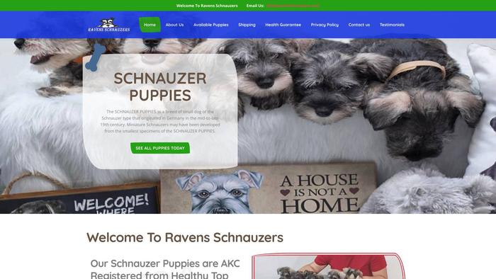 Ravenschnauzers.com - Schnauzer Puppy Scam Review