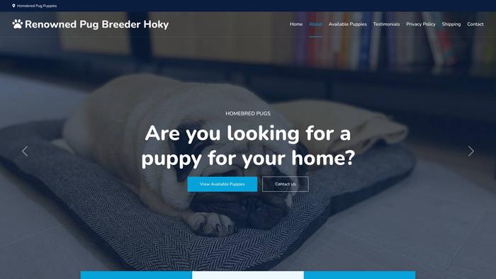 Renownedpugbreederhoky.info - Pug Puppy Scam Review