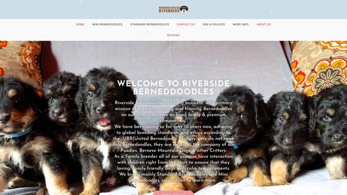 Riversidebernedoodles.com - Bernedoodle Puppy Scam Review