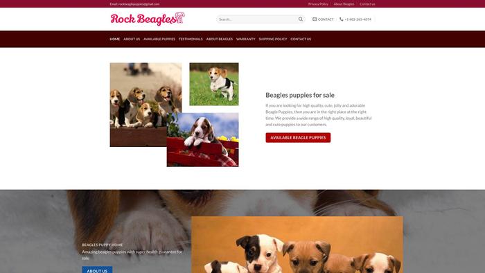 Rockbeagles.com - Beagle Puppy Scam Review